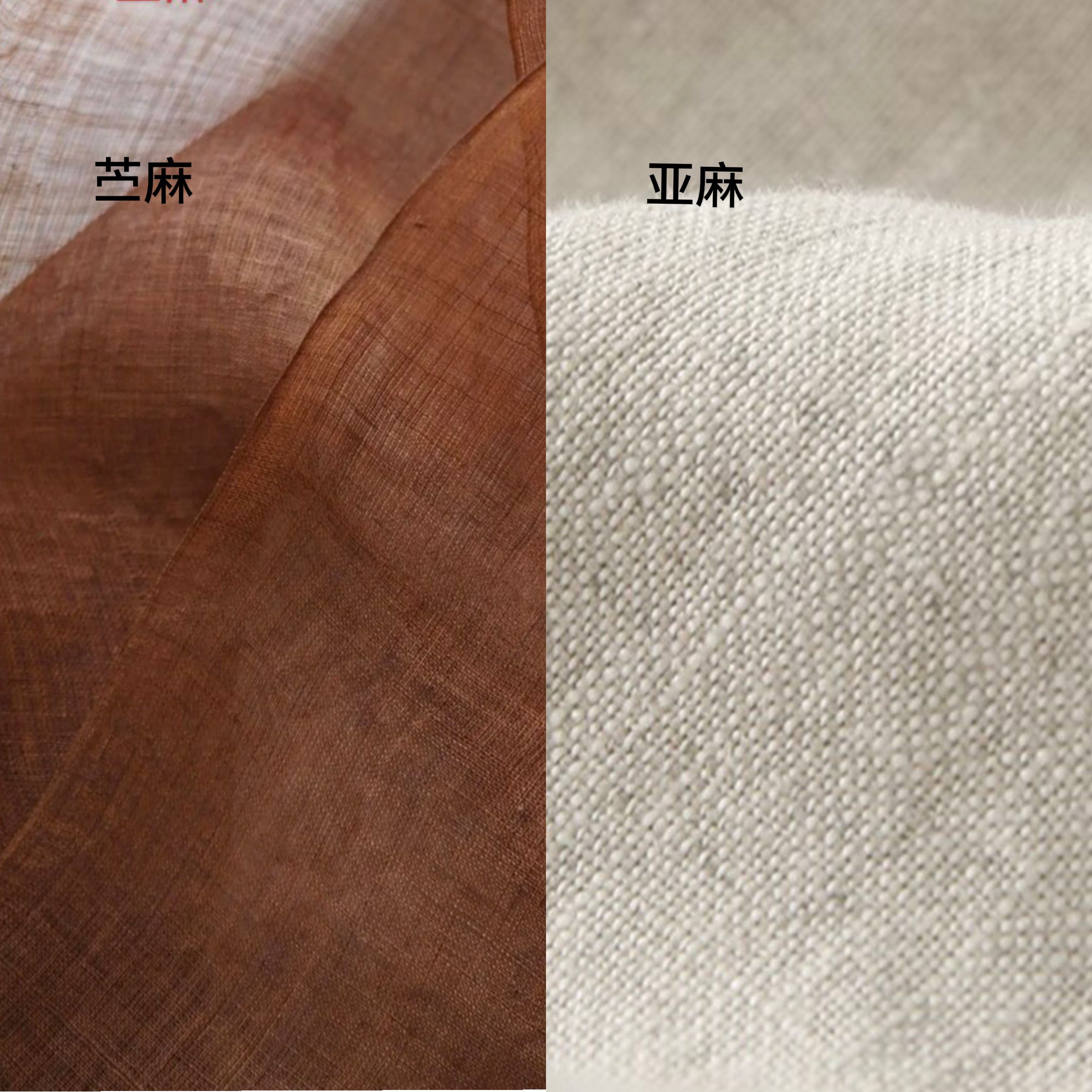 不同的“麻”料，你认识多少！